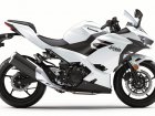 2019 Kawasaki Ninja 400 / ABS